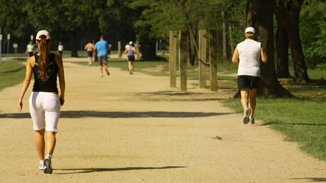 Showalter Park 1