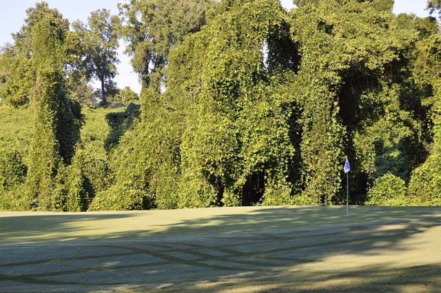 Williams Creek Golf Course6