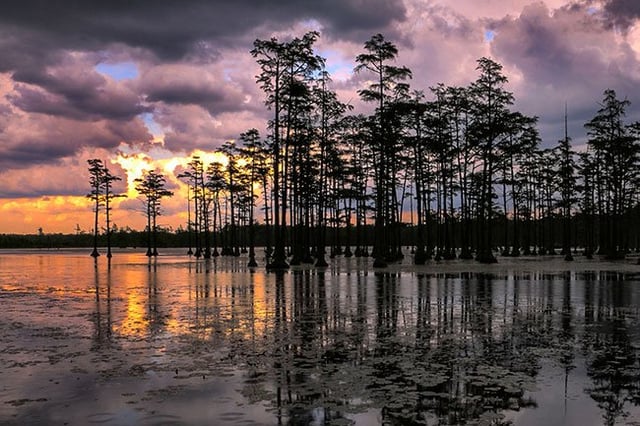 Lake view