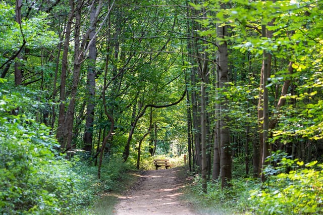 summit metro parks trails.jpeg