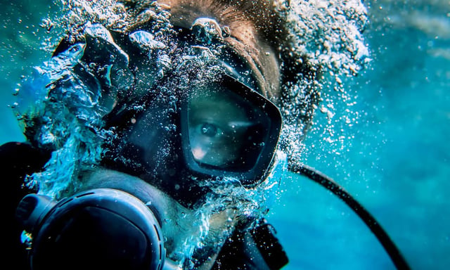 Bubbles or Not Diving 1