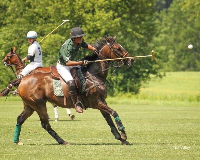 Brandywine Polo Fields & Club 4