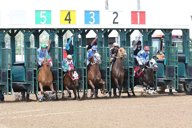 Fairfield-Park-racetrack-2ac8f7e25056a36_e45adf5f6bc0c5c2a30a39868f44eab6.jpg