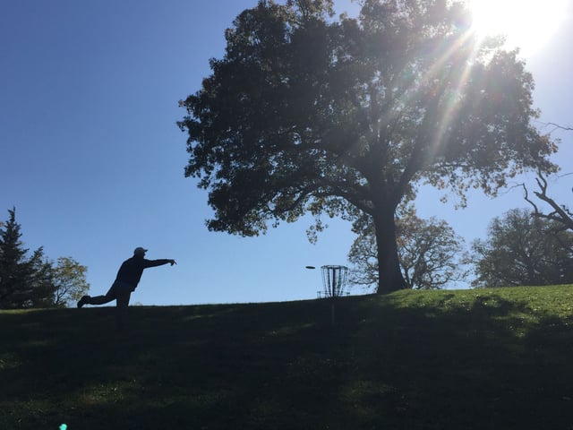 Pickard Park - Disc Golfer