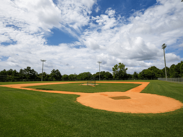 Satterfield Park