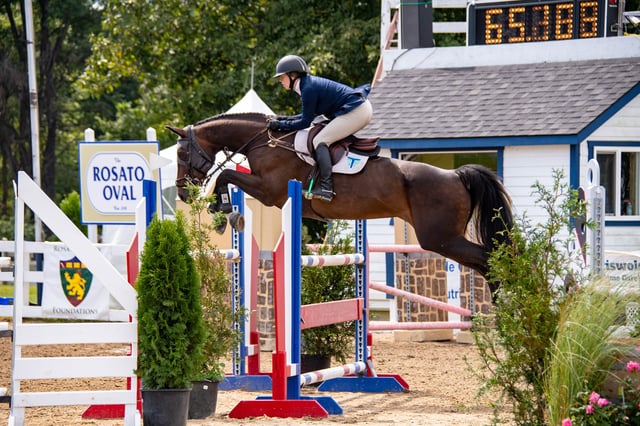 Ludwig's Corner Horse Show5