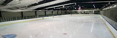 point mallard ice