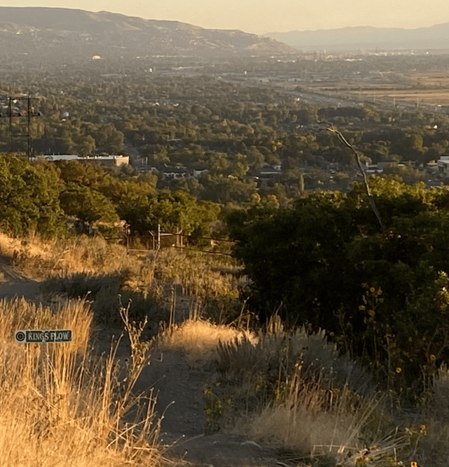 Screen Shot 2024-09-30 at 3.48.11 PM.png