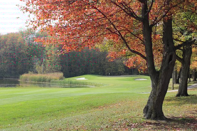 Maple 2