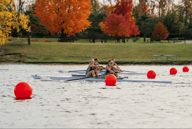rowingfl3.png