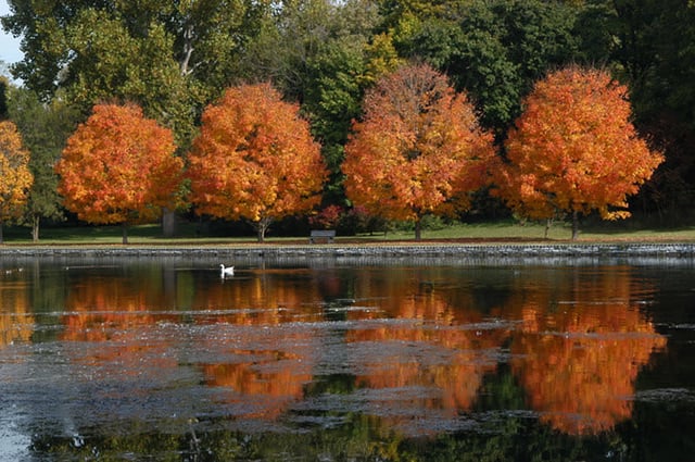 Children's Lake5