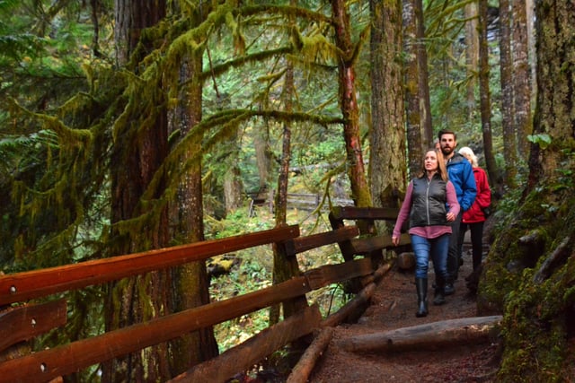 Olympic National Park 2