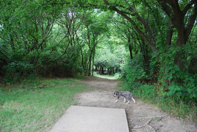 Gillies Creek Park 2