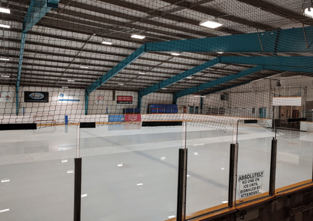 Lions Arena 3