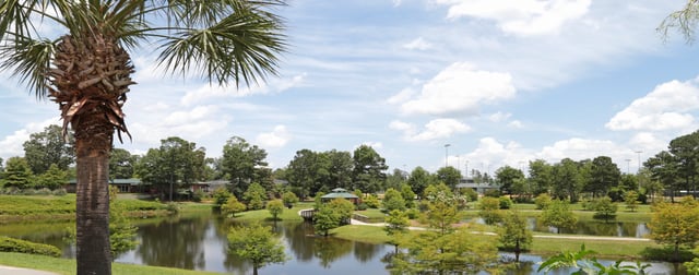 Palmetto Park8