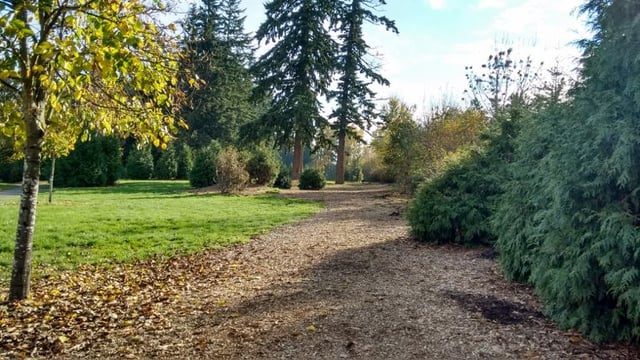 Orchard Park Disc Golf Course4