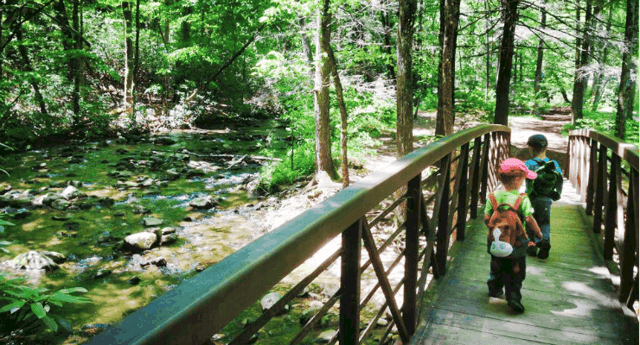 Jones Gap State Park 4
