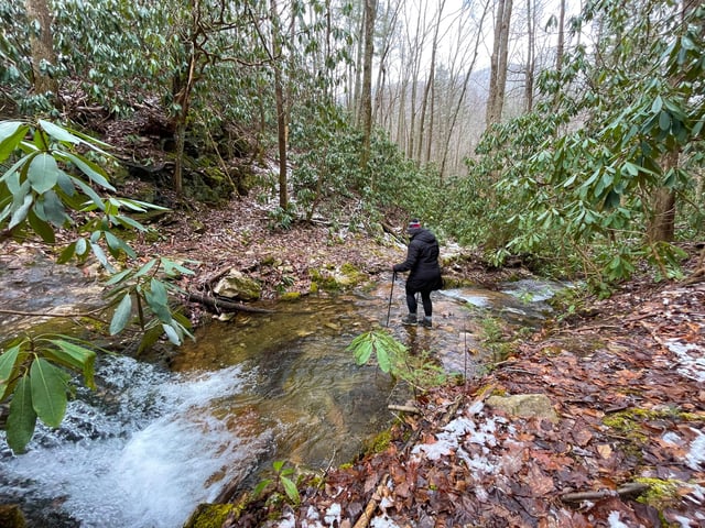Petes Branch Falls5