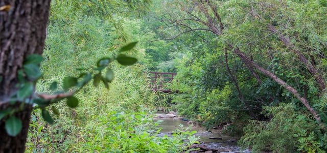 Flat Rock Creek Park4