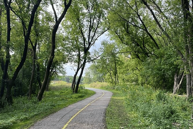 Busse Woods