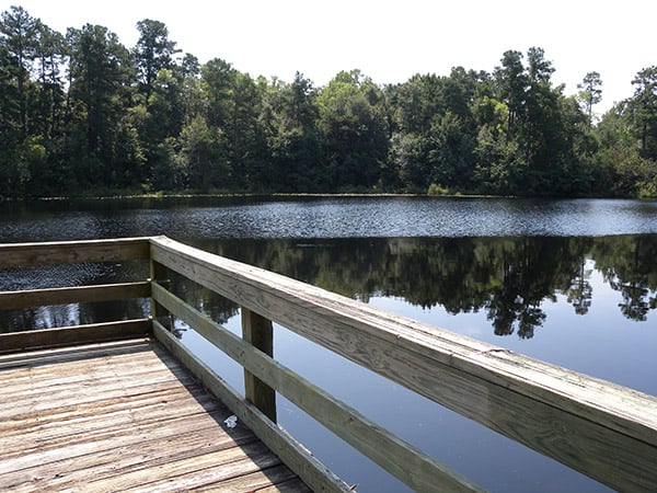Mill Creek Park13