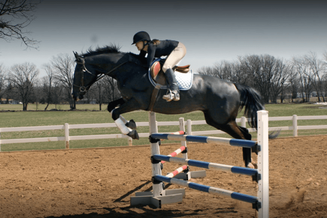 Nancy G. Held G Equestrian Center 3