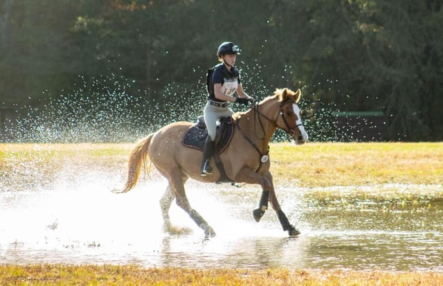 Sandy River Equestrian Center 3