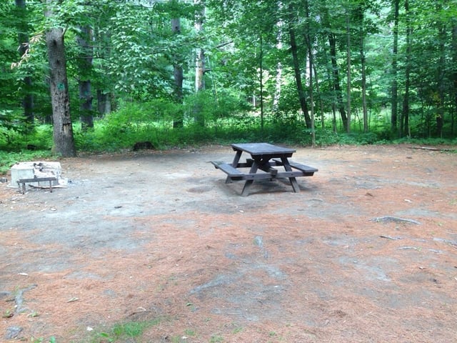 Roger's Rock Campground2