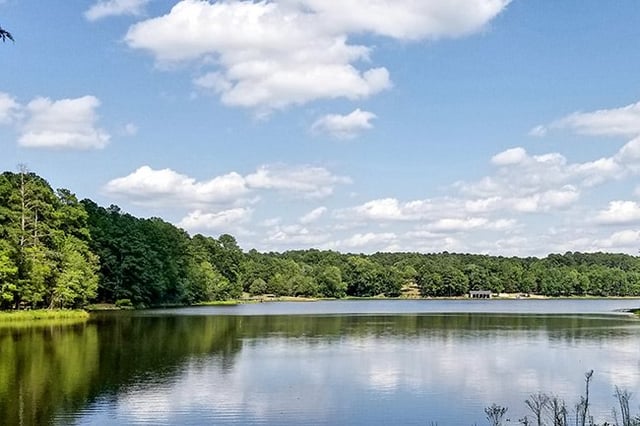 Chester State Park 4