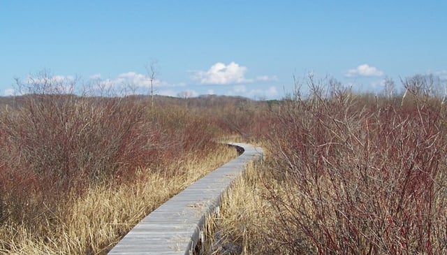 Upper Herring Lake Nature Preserve 1