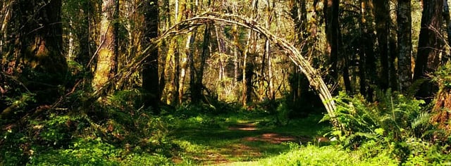 Camp Serene5