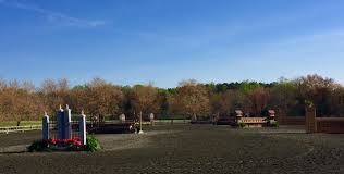 rose farm horse center training