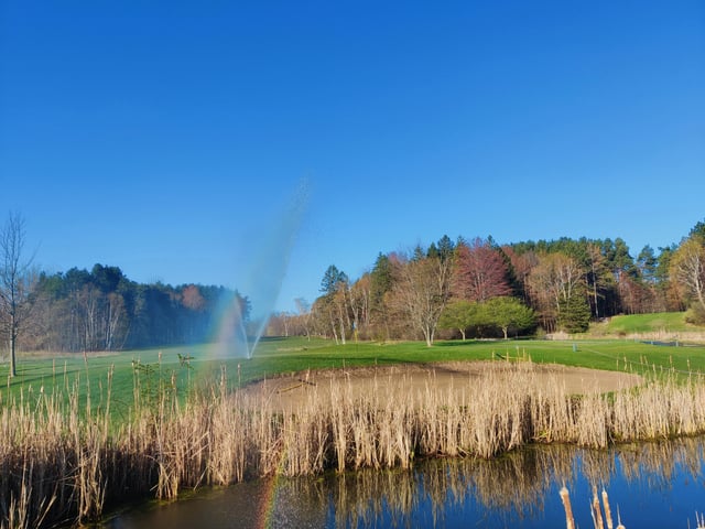 IMG_20230426_083234 (1) (1).jpg