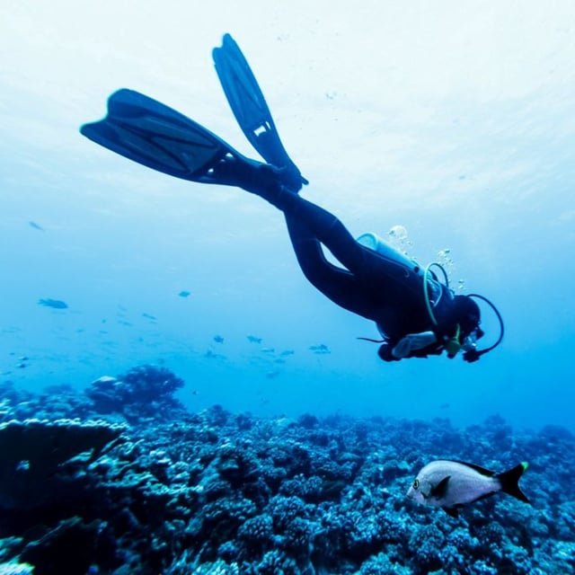 Aquatic Adventures of MI 2