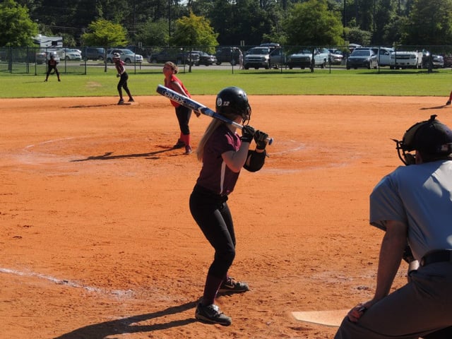 Palmetto Park4
