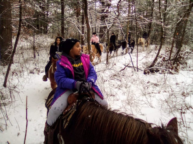 Wild West Ranch LLC6