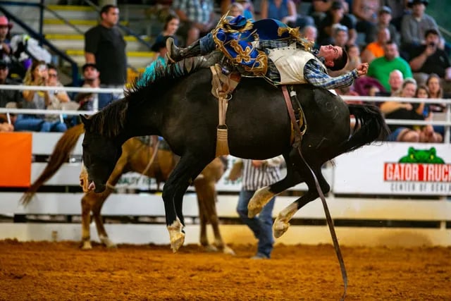 Southeastern-Livestock-Pavilion-5