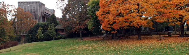 Wolf Trap Park 6