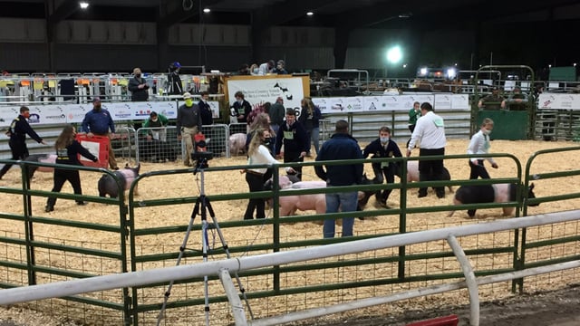 Alachua County Agriculture and Equestrian Center 4