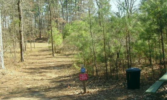 bistineau3 lousiana lake trail.jpg