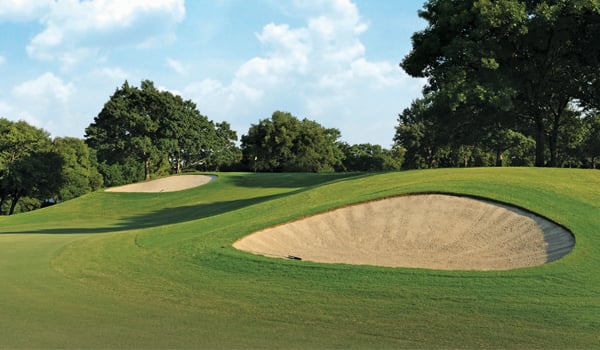 Shady Oaks Golf Course 5