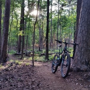 Tyler State Park 6
