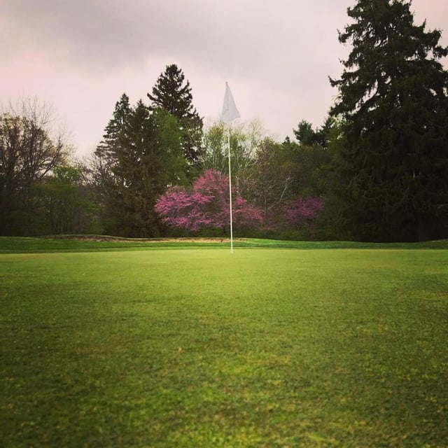 Collins Park Golf Club6