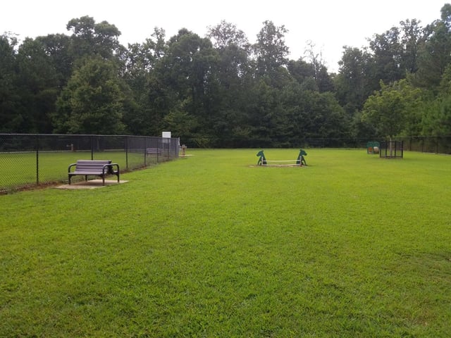 Graves Park6