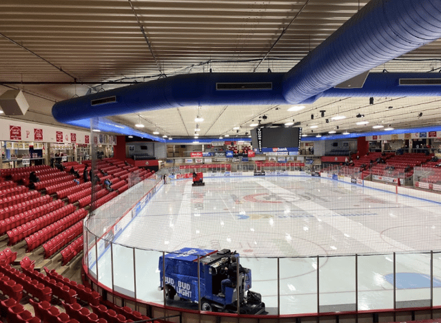 Young Arena 6
