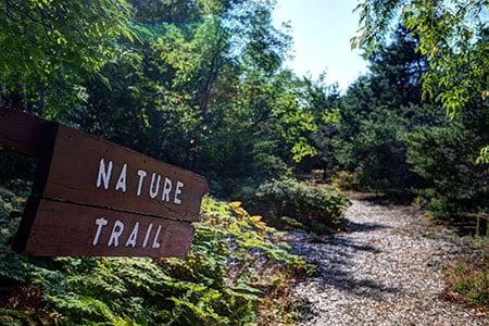 Whitewater Township Park 6