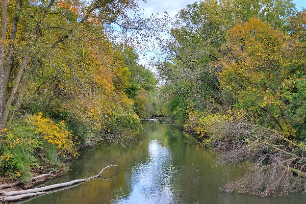 MacNider Woods6