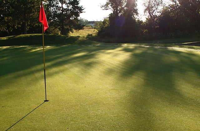 simorogolf_pic.jpg