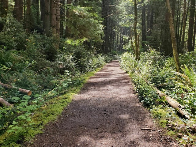 Cummins Creek Trail6
