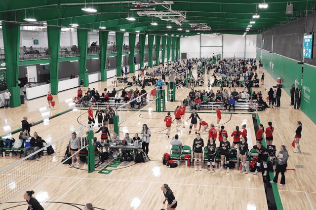 playeasy pics (7).png